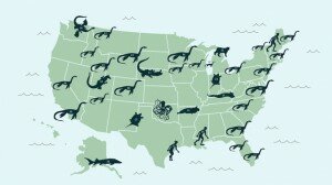 Lake Monsters