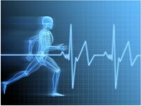 Staying Healthy whilst on the move