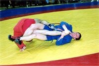 Sambo leglock (knee bar)