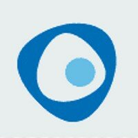The Kyrgyz Patent logo