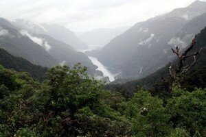 Doubtful Sound Deep Cove in New Zealand - Photo: FearTec at en.wikipedia
