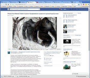 The Facebook post