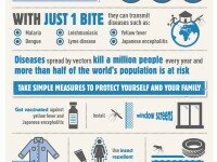 An infographic about Vector Borne Diseases
