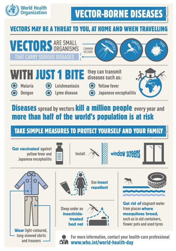 An infographic about Vector Borne Diseases