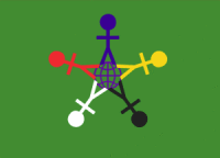 The ICD flag 