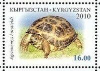 The Horsfield's Tortoise featured on a Kyrgyz Postage stamp